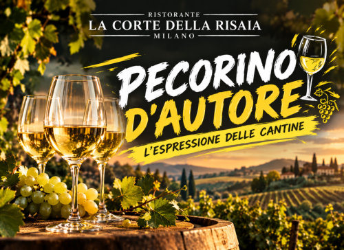 Pecorino d'Autore (degustazione vino)